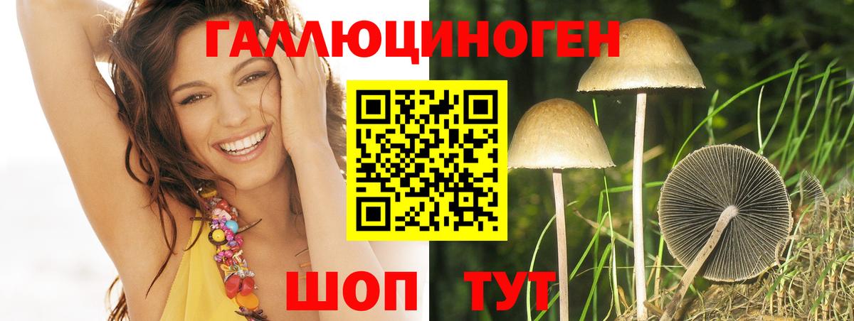 Псилоцибиновые грибы GOLDEN TEACHER  Вход с VPN  Снежинск 