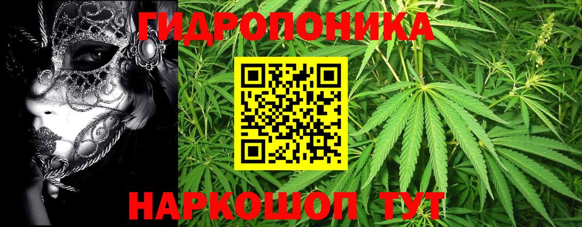Бошки Шишки гибрид Снежинск